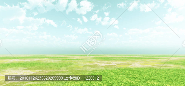 美麗的風(fēng)景