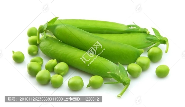 年輕的豌豆