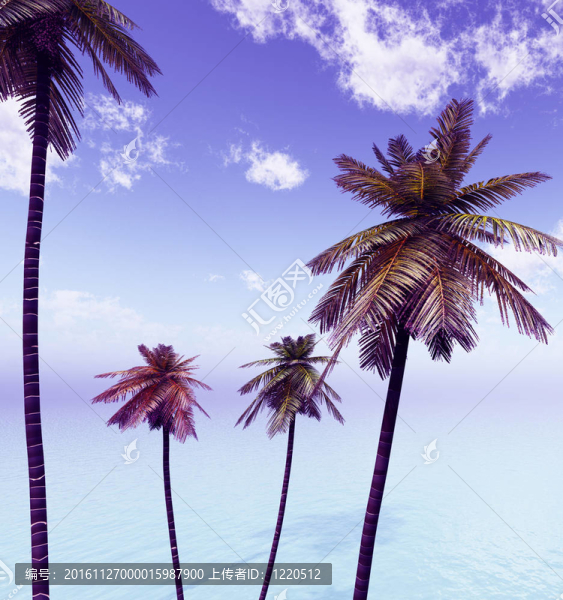 美麗的海景