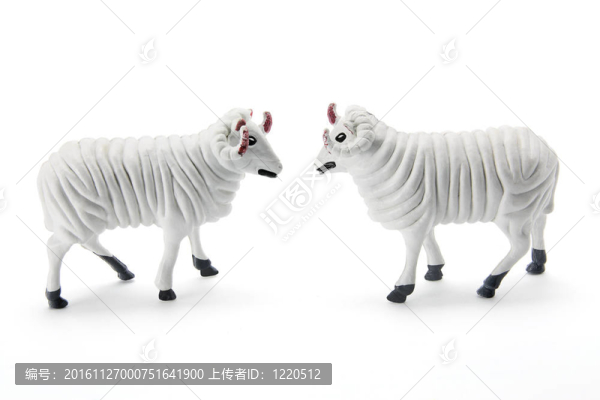 羊