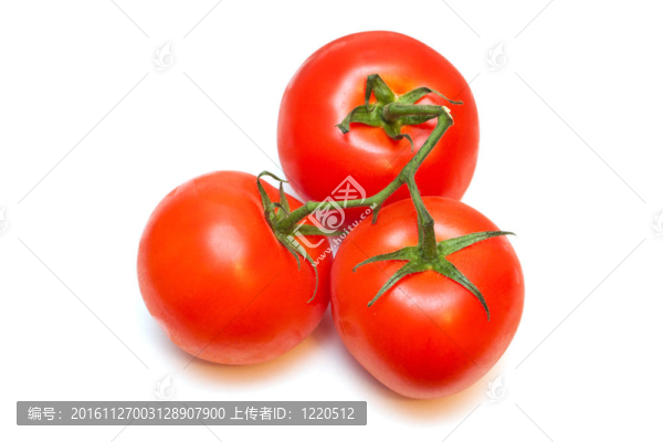 西紅柿.