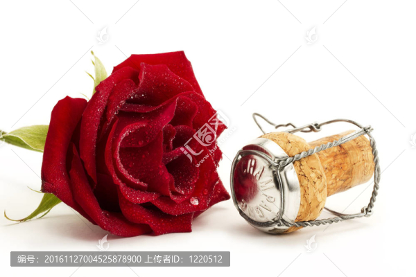 白色背景上的紅玫瑰和軟木