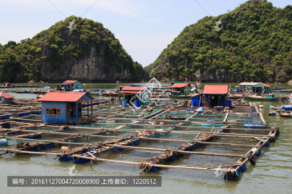浮動的漁村