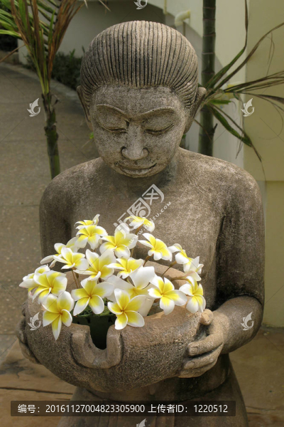 花卉裝飾用