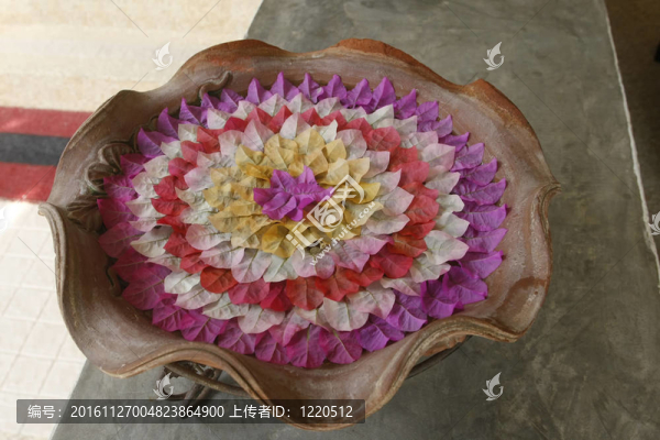 觀賞花瓶中漂浮的花瓣