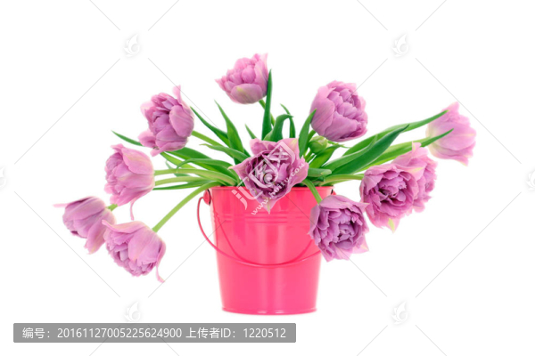 春天的時候！