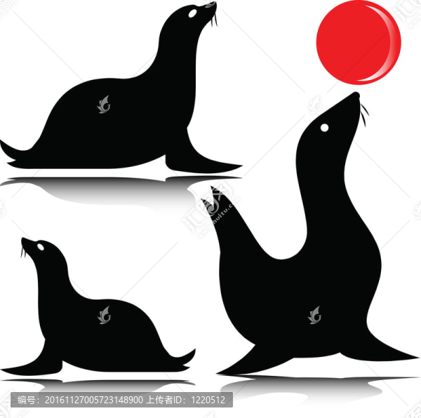 海獅剪影