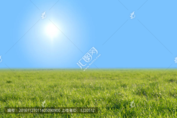 天空的草地