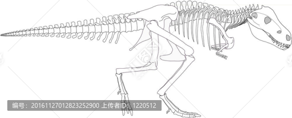 恐龍骨架