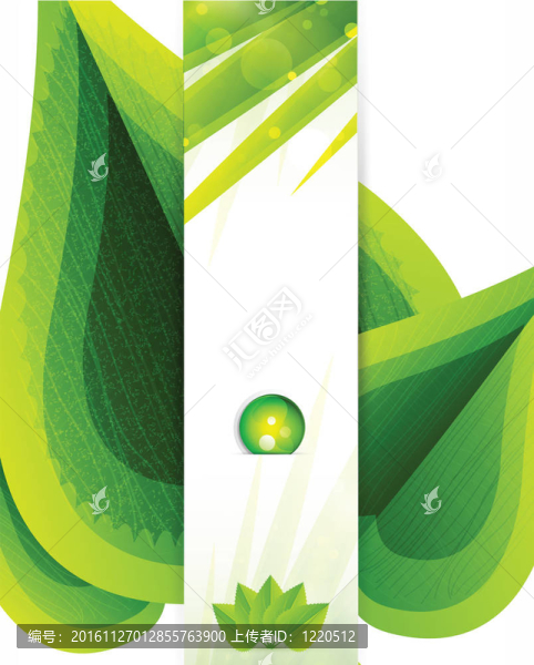 綠葉結(jié)構(gòu)