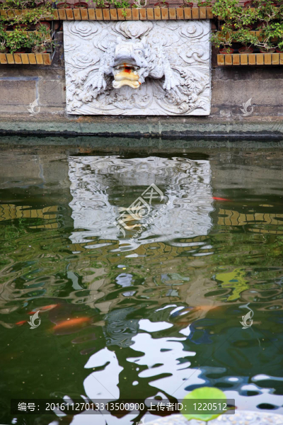 龍石水噘嘴豫園反射金魚中國上海