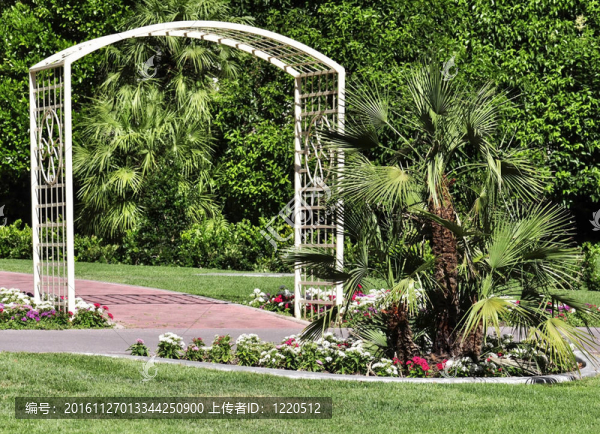 公園