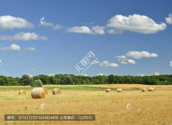 鄉(xiāng)村夏日風(fēng)景