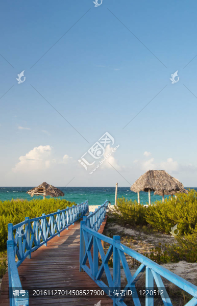 去海灘的路（垂直）