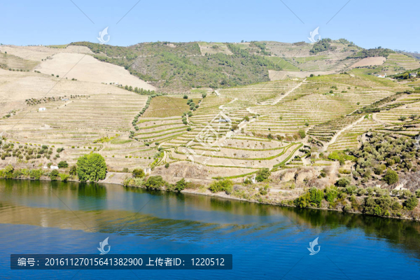 杜羅河流域；葡萄牙