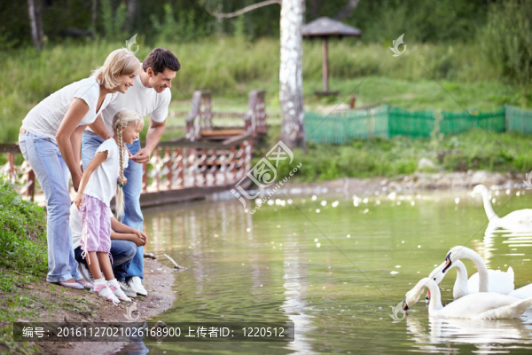 家庭