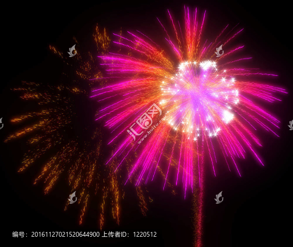 節(jié)日的紅色和紫色的煙花在夜間