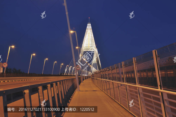 新的橋梁稱為Megyeri在Budapet