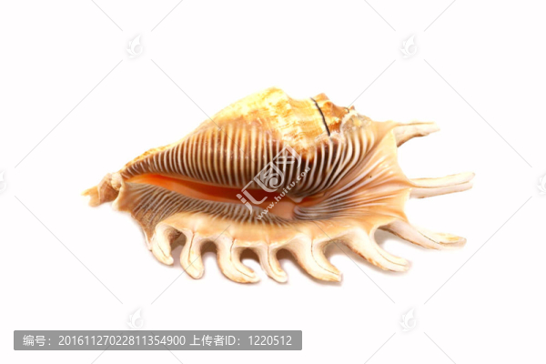 輕舟
