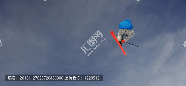 極限自由式滑雪跳躍