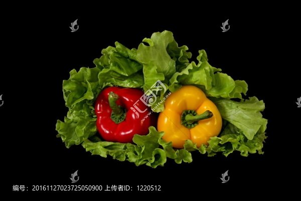 小辣椒和生菜