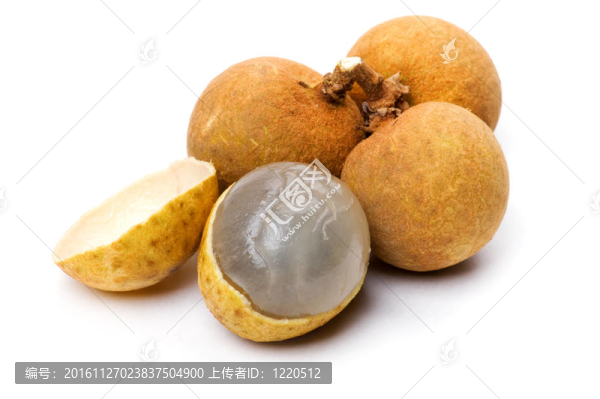 Longan宏
