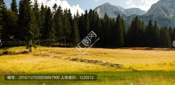農(nóng)村場(chǎng)景
