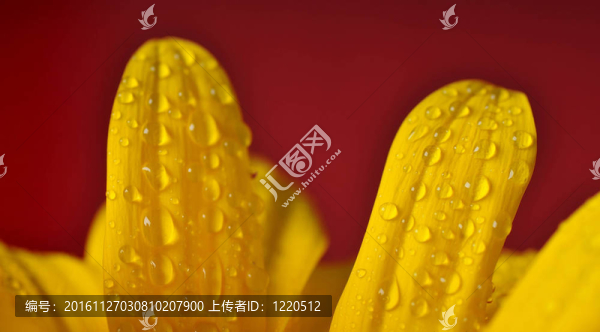滴