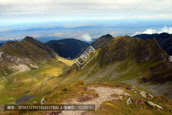 山