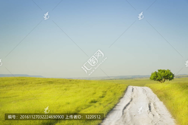 綠色草地之路