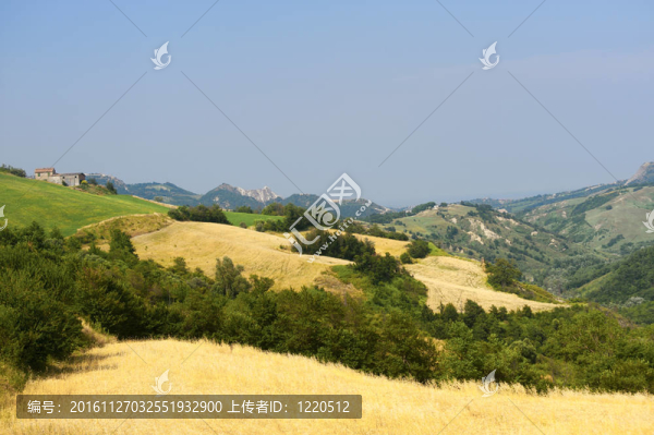 在羅馬涅區(qū)景觀（意大利）在夏天