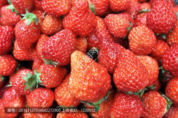 Strawberry的果實