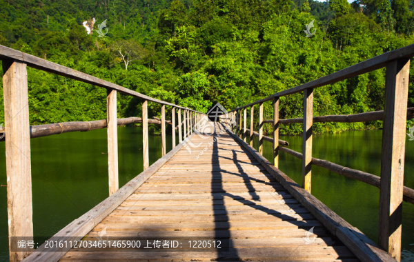 熱帶叢林的橋梁；泰國東部尖竹汶
