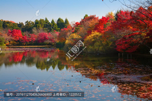 京都日本花園