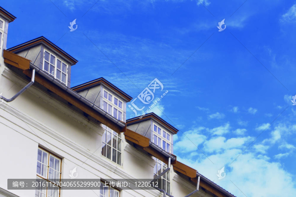 詳細(xì)的建筑