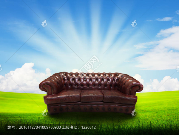 草地上的單人沙發(fā)