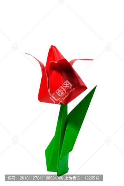 折紙紅色郁金香白色隔離