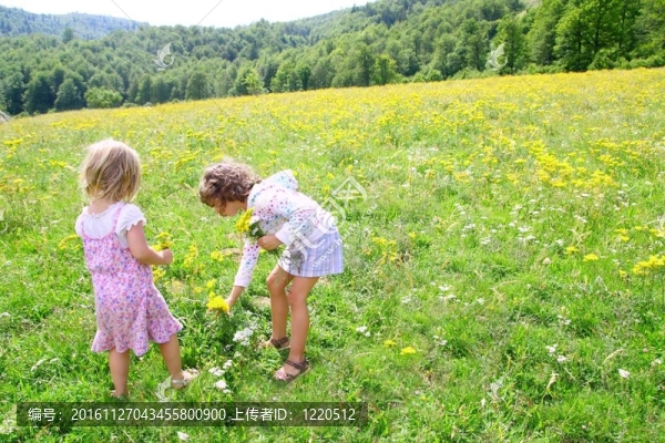 妹妹在草地上玩春天的花