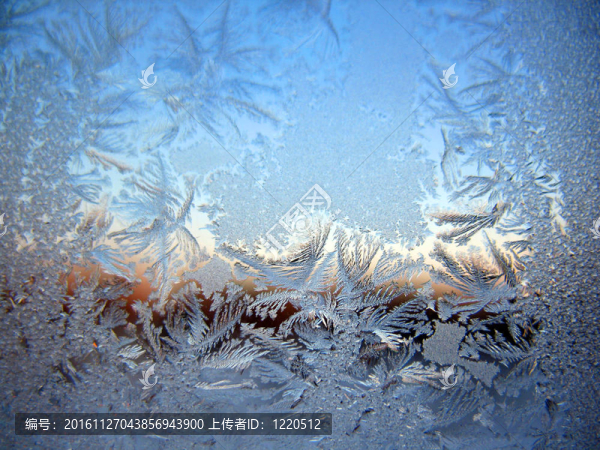 冬季窗上的雪紋