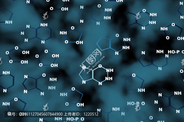 DNA的化學(xué)背景