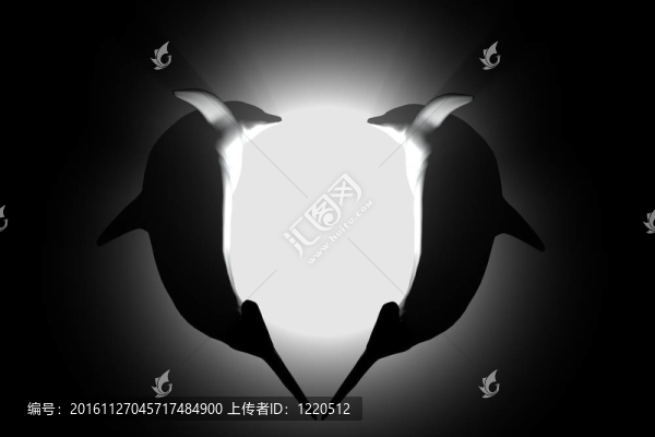 海豚