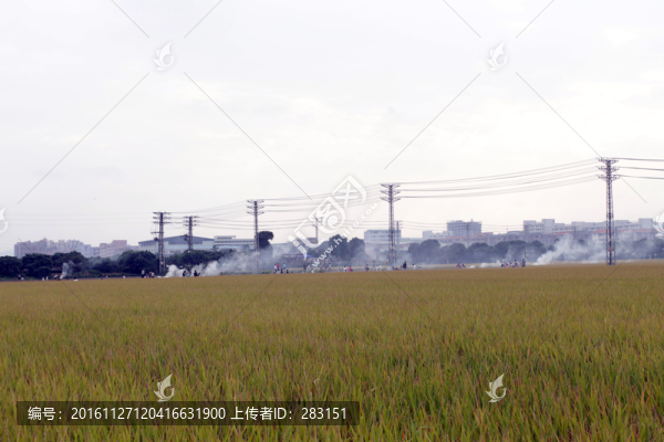 電纜