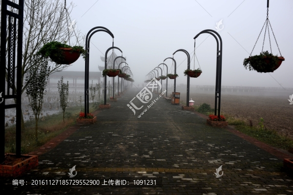 花海長(zhǎng)廊