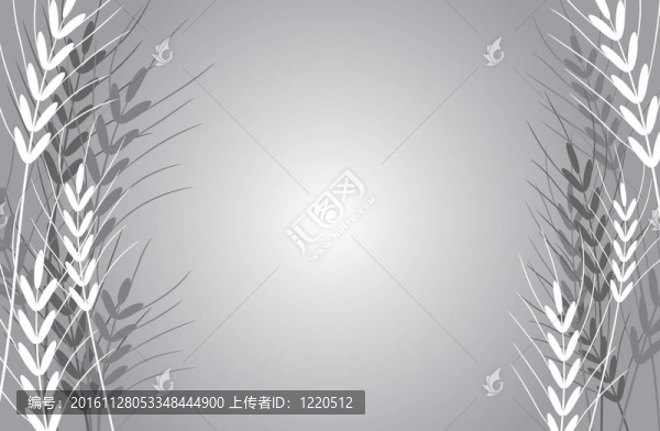 ？摘要小麥背景；載體