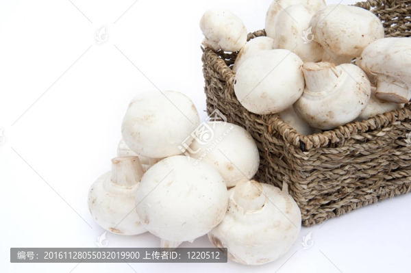 鮮香菇蘑菇在鄉(xiāng)村籃白色隔離