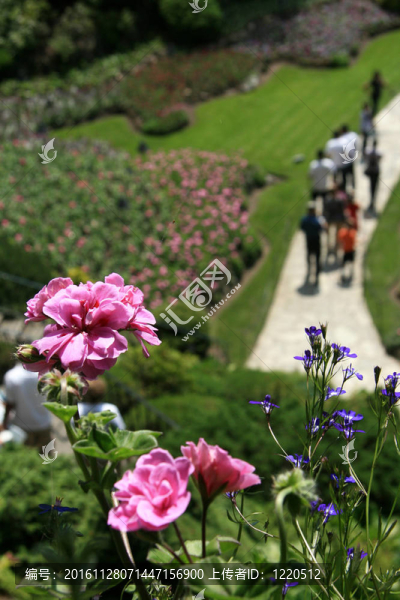 寶翠花園；Victoria；公元前；加拿大