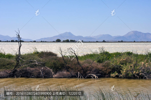 鹽湖tigaki