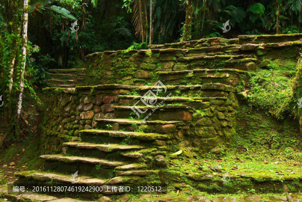古老的石头楼梯在Ciudad佩尔迪达平台；通过Tayrona的人了。该遗址在哥伦比亚北部靠近圣玛尔塔