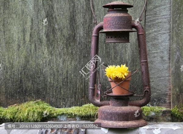 燈籠里的花