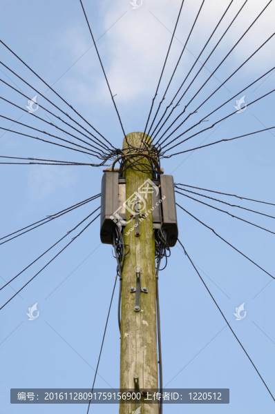 電信